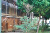 Imagine atasata: Kaufland Kogalniceanu - 2015.07.26 - 07.jpg
